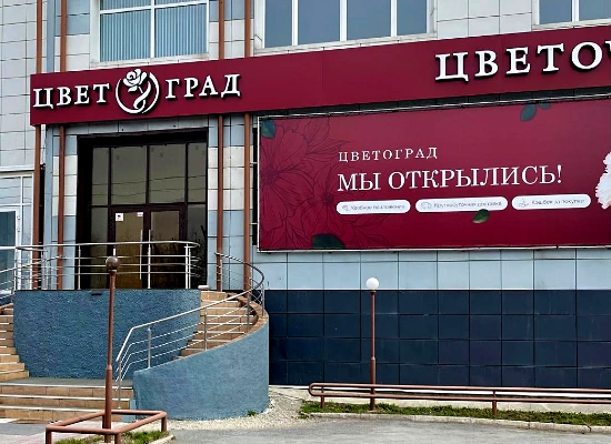 План